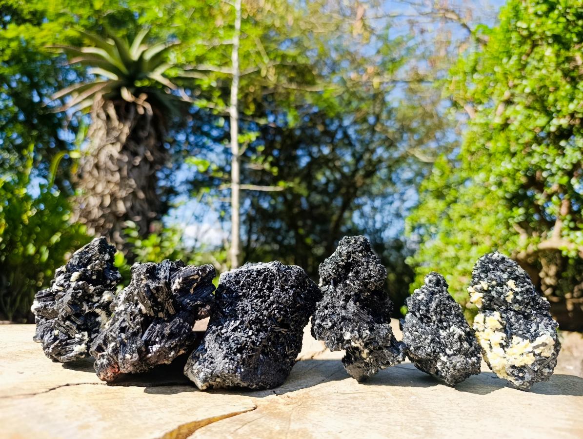 Natural Schorl Black Tourmaline with Muscovite Mica Specimens x 6 From Erongo, Namibia - Toprock Gemstones and Minerals 