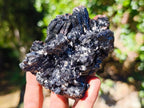 Natural Schorl Black Tourmaline with Muscovite Mica Specimens x 6 From Erongo, Namibia - Toprock Gemstones and Minerals 