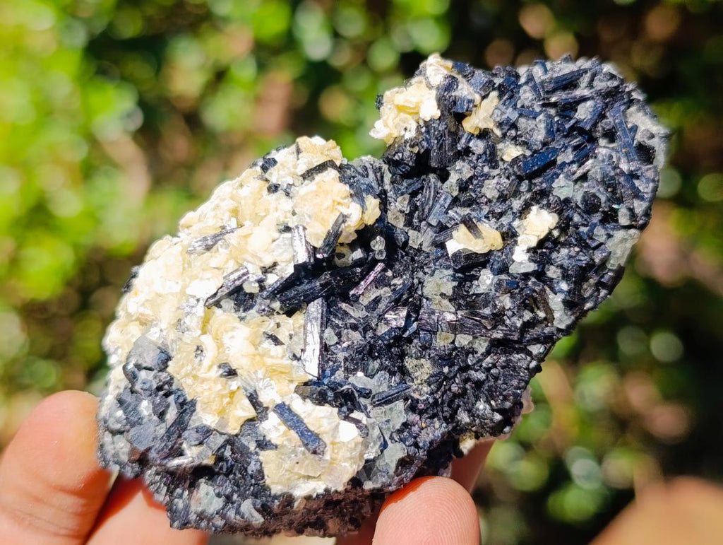 Natural Schorl Black Tourmaline with Muscovite Mica Specimens x 6 From Erongo, Namibia - Toprock Gemstones and Minerals 