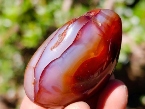 Polished Carnelian Agate Gemstone Galets x 12 From Madagascar - Toprock Gemstones and Minerals 