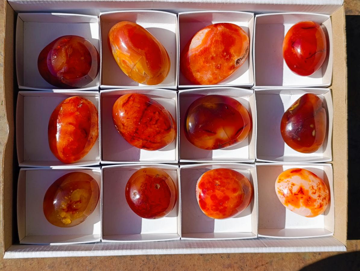 Polished Carnelian Agate Gemstone Galets x 12 From Madagascar - Toprock Gemstones and Minerals 