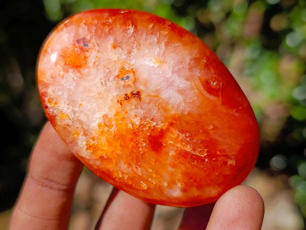 Polished Carnelian Agate Gemstone Galets x 12 From Madagascar - Toprock Gemstones and Minerals 