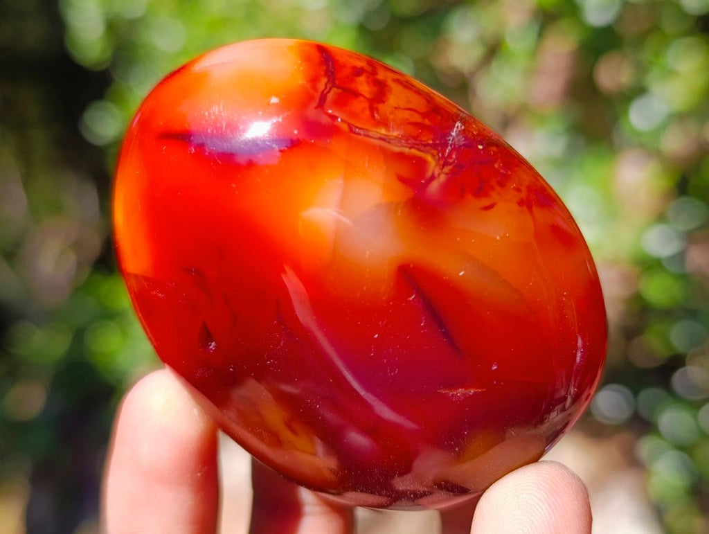 Polished Carnelian Agate Gemstone Galets x 12 From Madagascar - Toprock Gemstones and Minerals 