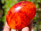 Polished Carnelian Agate Gemstone Galets x 12 From Madagascar - Toprock Gemstones and Minerals 