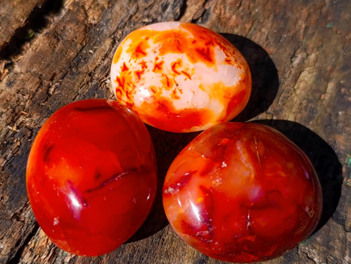 Polished Carnelian Agate Gemstone Galets x 12 From Madagascar - Toprock Gemstones and Minerals 