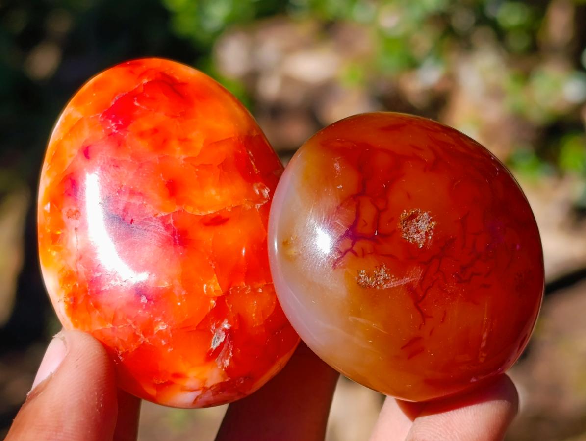 Polished Carnelian Agate Gemstone Galets x 12 From Madagascar - Toprock Gemstones and Minerals 