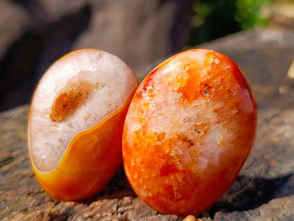 Polished Carnelian Agate Gemstone Galets x 12 From Madagascar - Toprock Gemstones and Minerals 