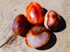 Polished Carnelian Agate Gemstone Galets x 12 From Madagascar - Toprock Gemstones and Minerals 