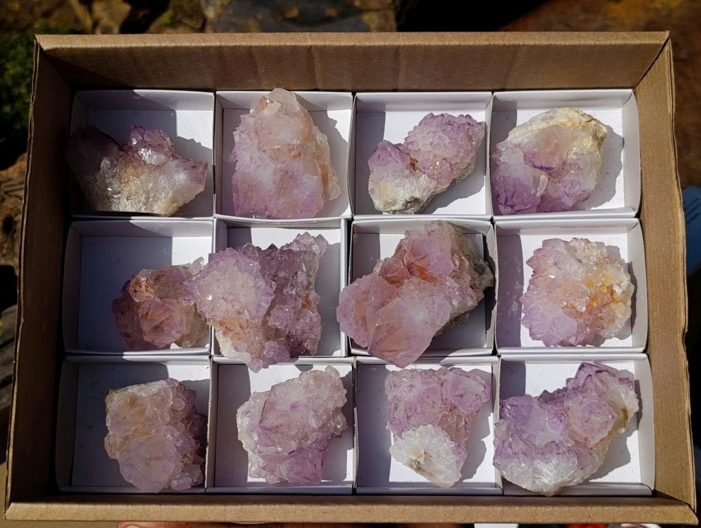 Natural Spirit Amethyst Clusters x 12 From Boekenhouthoek, South Africa - Toprock Gemstones and Minerals 