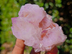 Natural Spirit Amethyst Clusters x 12 From Boekenhouthoek, South Africa - Toprock Gemstones and Minerals 