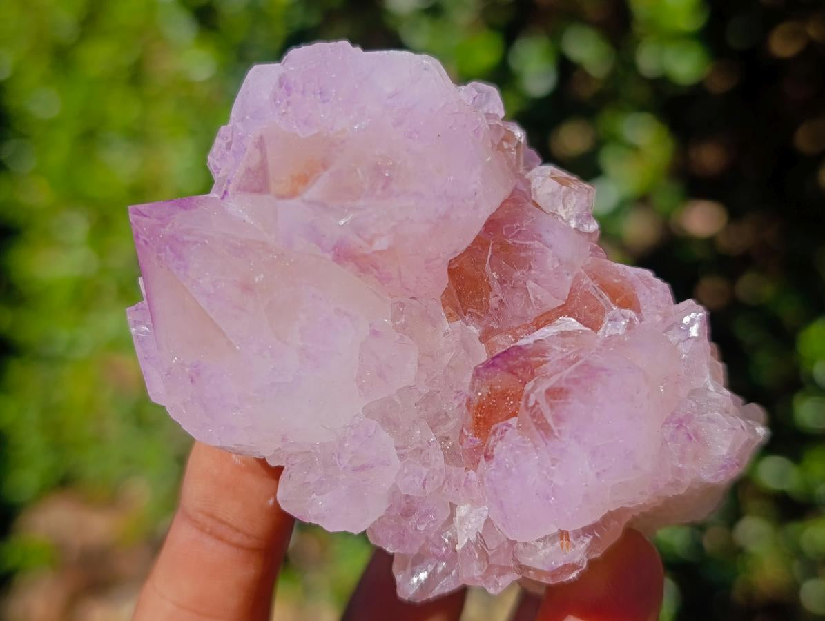 Natural Spirit Amethyst Clusters x 12 From Boekenhouthoek, South Africa - Toprock Gemstones and Minerals 