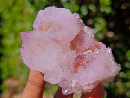 Natural Spirit Amethyst Clusters x 12 From Boekenhouthoek, South Africa - Toprock Gemstones and Minerals 