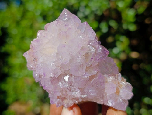 Natural Spirit Amethyst Clusters x 12 From Boekenhouthoek, South Africa - Toprock Gemstones and Minerals 
