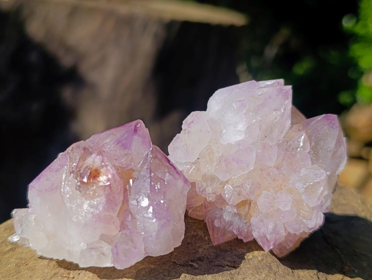 Natural Spirit Amethyst Clusters x 12 From Boekenhouthoek, South Africa - Toprock Gemstones and Minerals 