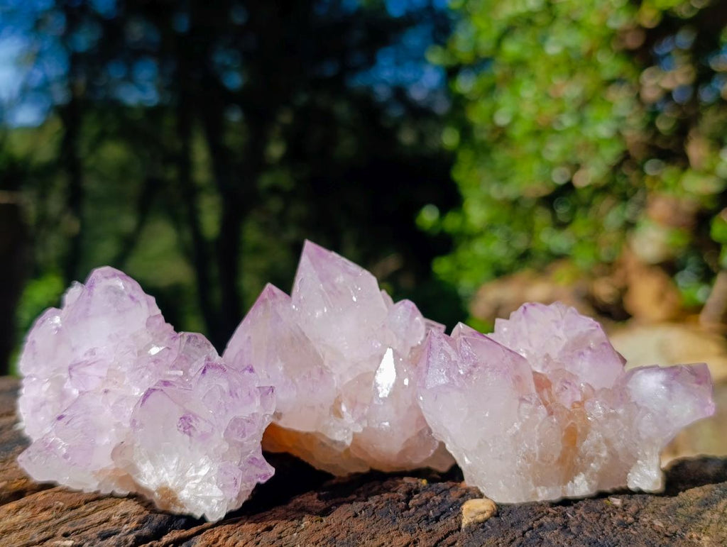 Natural Spirit Amethyst Clusters x 12 From Boekenhouthoek, South Africa - Toprock Gemstones and Minerals 