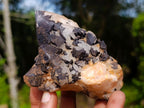 Natural "Love Star" Cascading Pineapple Quartz Crystals x 12 From Antsirabe, Madagascar - Toprock Gemstones and Minerals 