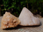 Natural "Love Star" Cascading Pineapple Quartz Crystals x 12 From Antsirabe, Madagascar - Toprock Gemstones and Minerals 