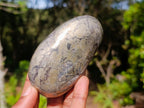 Polished Basalt Pharaoh Stone Free Forms x 12 From Iron Duke Mine, Zimbabwe - Toprock Gemstones and Minerals 
