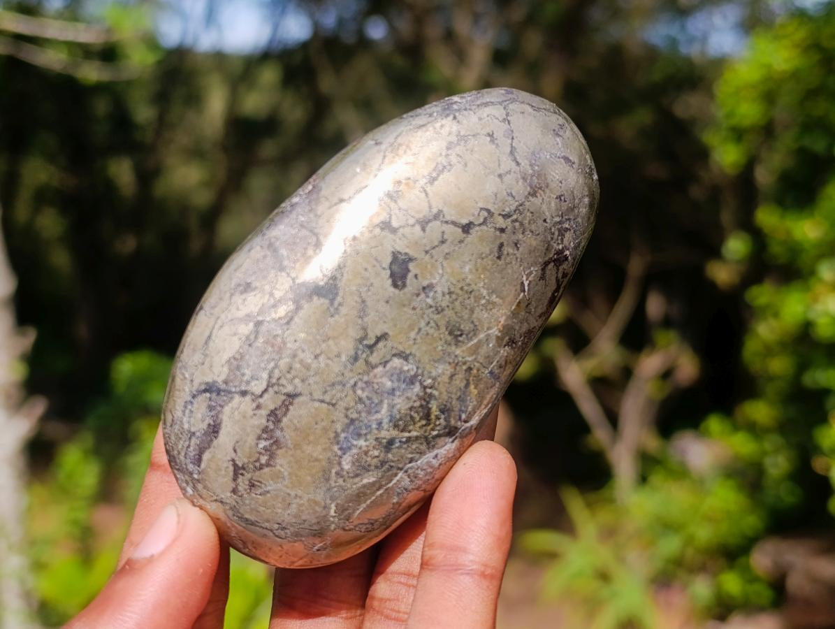 Polished Basalt Pharaoh Stone Free Forms x 12 From Iron Duke Mine, Zimbabwe - Toprock Gemstones and Minerals 