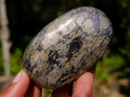 Polished Basalt Pharaoh Stone Free Forms x 12 From Iron Duke Mine, Zimbabwe - Toprock Gemstones and Minerals 