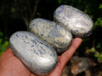 Polished Basalt Pharaoh Stone Free Forms x 12 From Iron Duke Mine, Zimbabwe - Toprock Gemstones and Minerals 