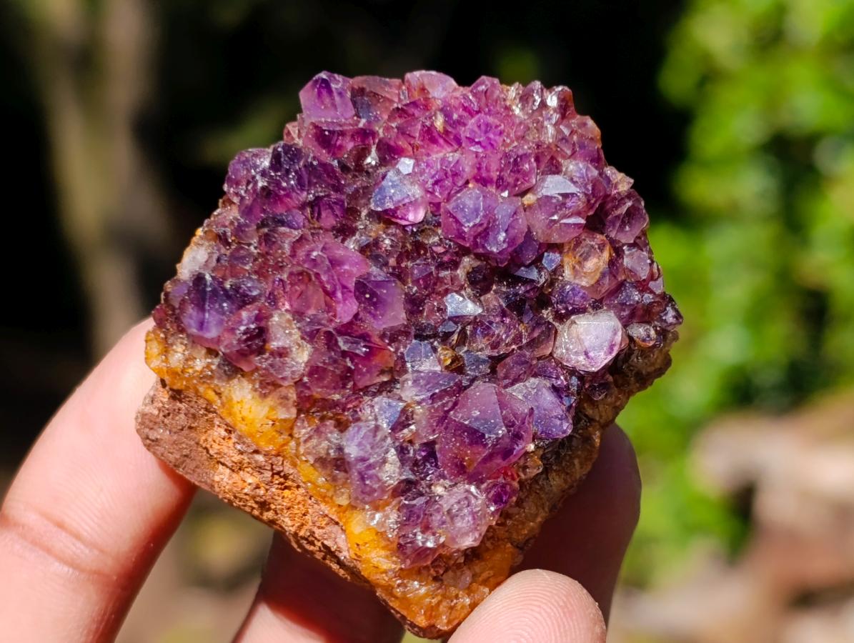 Natural Dark Spirit Quartz Cluster Plates x 35 From Boekenhouthoek, South Africa