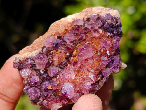 Natural Dark Spirit Quartz Cluster Plates x 35 From Boekenhouthoek, South Africa