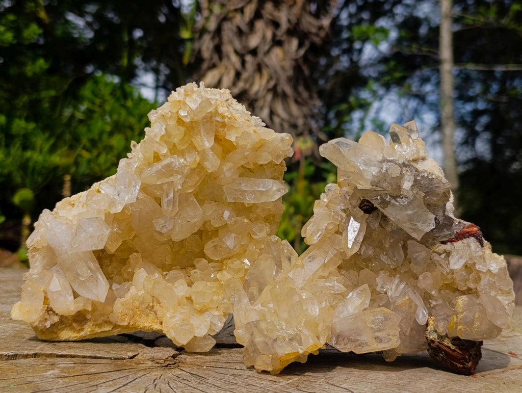 Natural Clear Malagasy Quartz Clusters x 2 From Madagascar - Toprock Gemstones and Minerals 