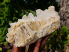 Natural Clear Malagasy Quartz Clusters x 2 From Madagascar - Toprock Gemstones and Minerals 