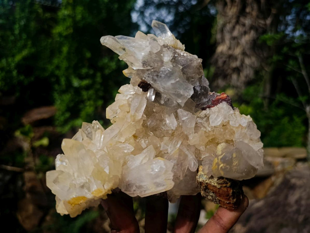 Natural Clear Malagasy Quartz Clusters x 2 From Madagascar - Toprock Gemstones and Minerals 