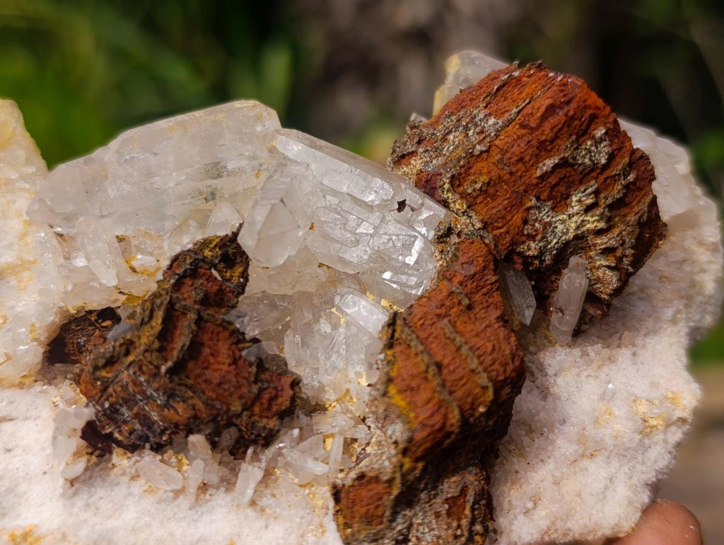 Natural Clear Malagasy Quartz Clusters x 2 From Madagascar - Toprock Gemstones and Minerals 