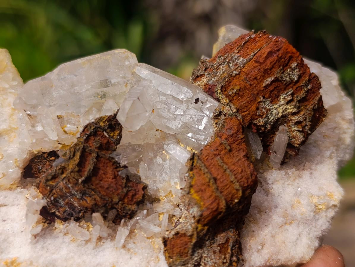 Natural Clear Malagasy Quartz Clusters x 2 From Madagascar - Toprock Gemstones and Minerals 