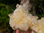 Natural Clear Malagasy Quartz Clusters x 2 From Madagascar - Toprock Gemstones and Minerals 