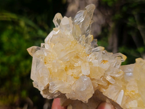 Natural Clear Malagasy Quartz Clusters x 2 From Madagascar - Toprock Gemstones and Minerals 