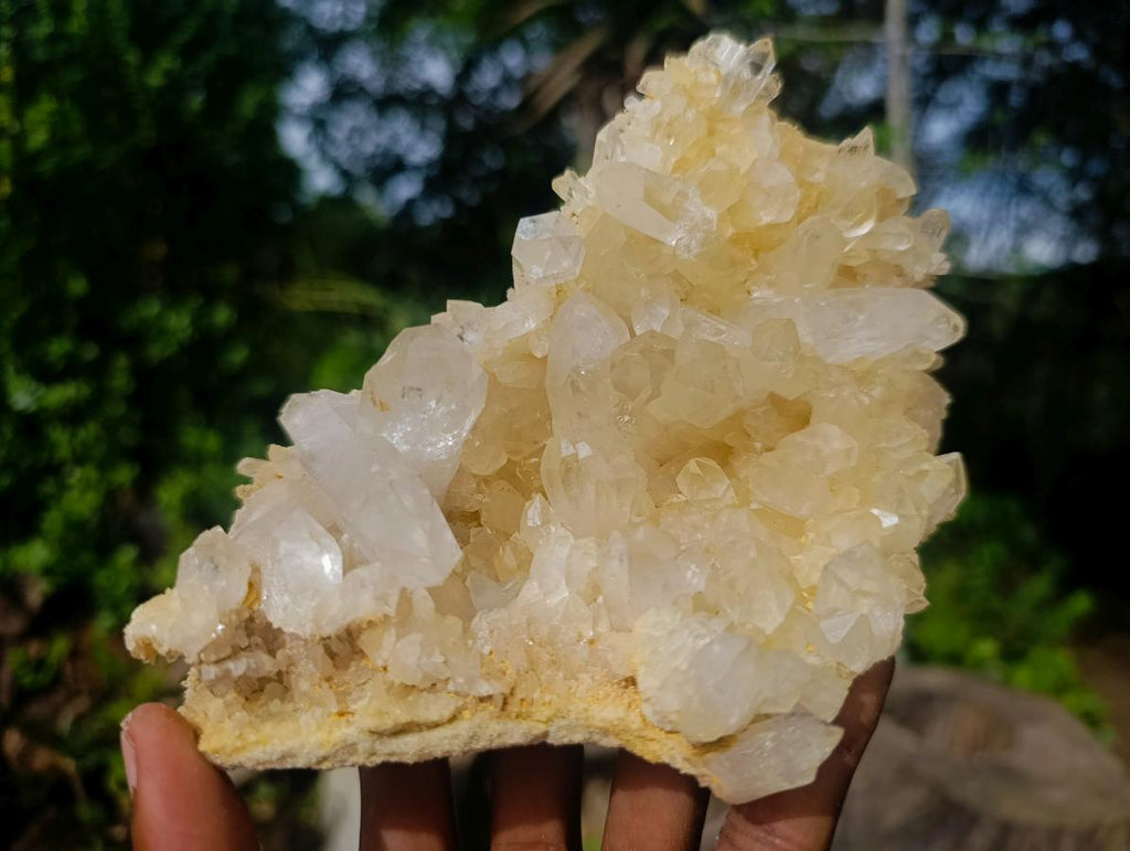 Natural Clear Malagasy Quartz Clusters x 2 From Madagascar - Toprock Gemstones and Minerals 