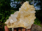 Natural Clear Malagasy Quartz Clusters x 2 From Madagascar - Toprock Gemstones and Minerals 