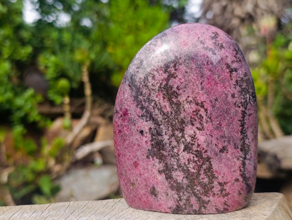 Polished Rhodonite Standing Display Pieces x 2 From Ambindavato, Madagascar - Toprock Gemstones and Minerals 