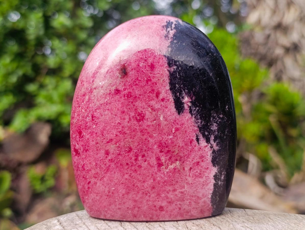 Polished Rhodonite Standing Display Pieces x 2 From Ambindavato, Madagascar - Toprock Gemstones and Minerals 
