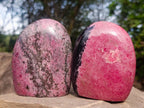 Polished Rhodonite Standing Display Pieces x 2 From Ambindavato, Madagascar - Toprock Gemstones and Minerals 
