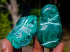 Polished Malacolla Free Forms x 12 From Kulukuluku, Congo - Toprock Gemstones and Minerals 