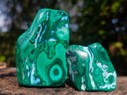 Polished Malacolla Free Forms x 12 From Kulukuluku, Congo - Toprock Gemstones and Minerals 