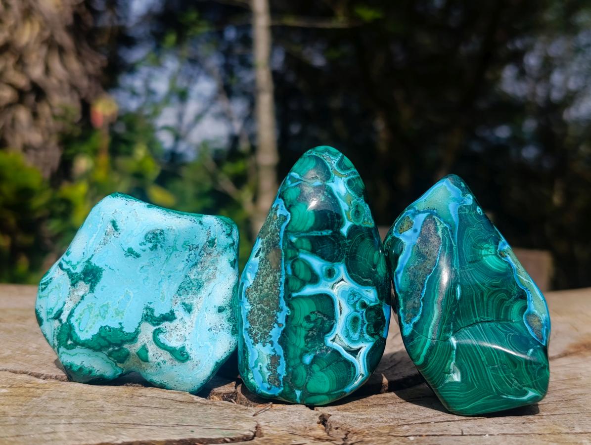 Polished Malacolla Free Forms x 12 From Kulukuluku, Congo - Toprock Gemstones and Minerals 