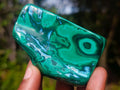 Polished Malacolla Free Forms x 12 From Kulukuluku, Congo - Toprock Gemstones and Minerals 