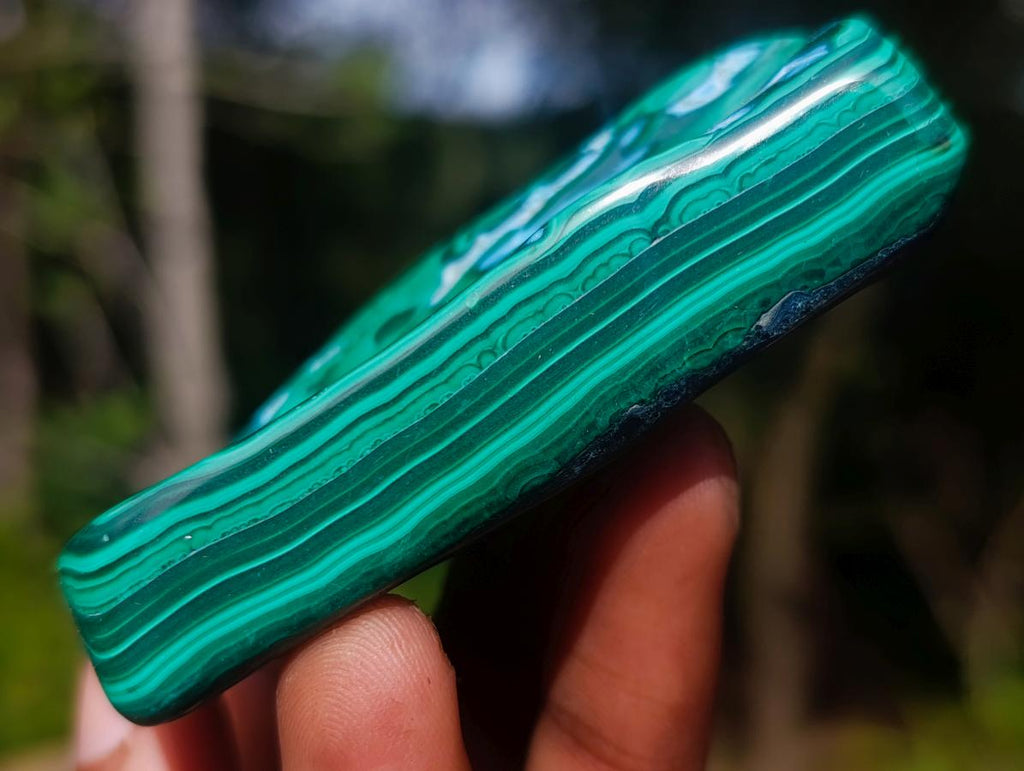 Polished Malacolla Free Forms x 12 From Kulukuluku, Congo - Toprock Gemstones and Minerals 
