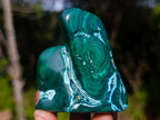 Polished Malacolla Free Forms x 12 From Kulukuluku, Congo - Toprock Gemstones and Minerals 