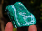 Polished Malacolla Free Forms x 12 From Kulukuluku, Congo - Toprock Gemstones and Minerals 