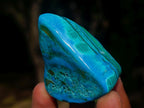 Polished Malacolla Free Forms x 12 From Kulukuluku, Congo - Toprock Gemstones and Minerals 