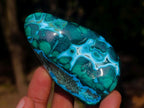 Polished Malacolla Free Forms x 12 From Kulukuluku, Congo - Toprock Gemstones and Minerals 