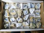 Natural Blue Lace Agate Geode Specimens x 24 From Nsanje, Malawi - Toprock Gemstones and Minerals 