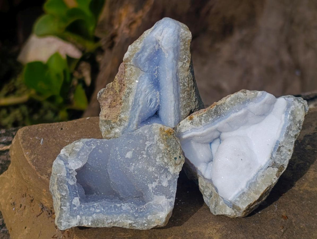 Natural Blue Lace Agate Geode Specimens x 24 From Nsanje, Malawi - Toprock Gemstones and Minerals 